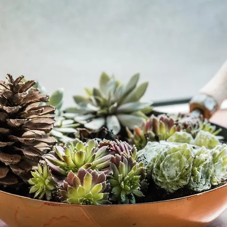 Guestready - Zen Den In Lapa Lejlighed *